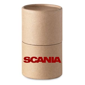 STRIPER Vibrant Colors 30 Wax Crayons in Carton Tube