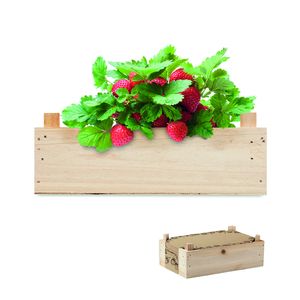 STRAWBERRY Complete Strawberry Growing Kit in Wooden Crate - GiftRetail MO6506