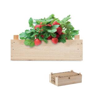 STRAWBERRY Complete Strawberry Growing Kit in Wooden Crate - GiftRetail MO6506