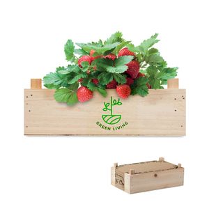 STRAWBERRY Complete Strawberry Growing Kit in Wooden Crate - GiftRetail MO6506
