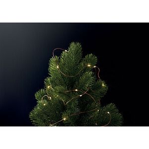 FAIRY LED Warm Yellow LED Fairy Lights String on Wooden Spool - GiftRetail MO6611