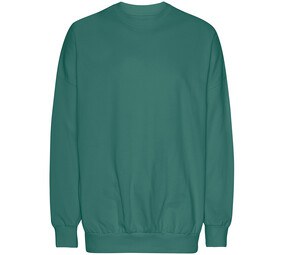 TIGER T63011 - OVERSIZED SWEATSHIRT
